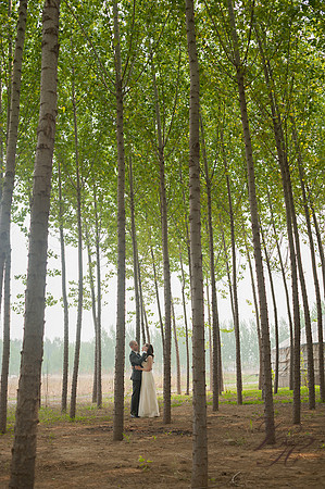 Wedding-111