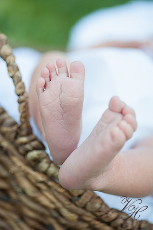 Jacksonville Family Photography-40