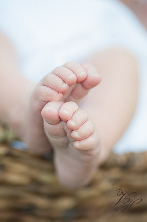 Jacksonville Family Photography-45