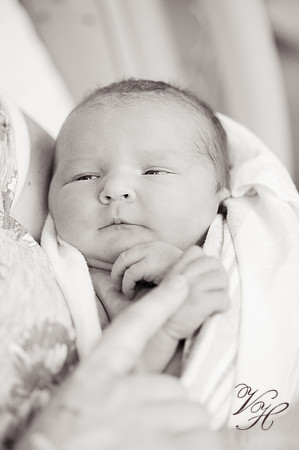 Amelia.bw-140