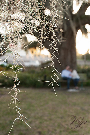 Jacksonville Engagement Photos-98