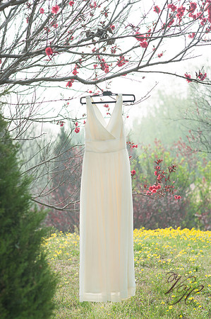 Wedding-22