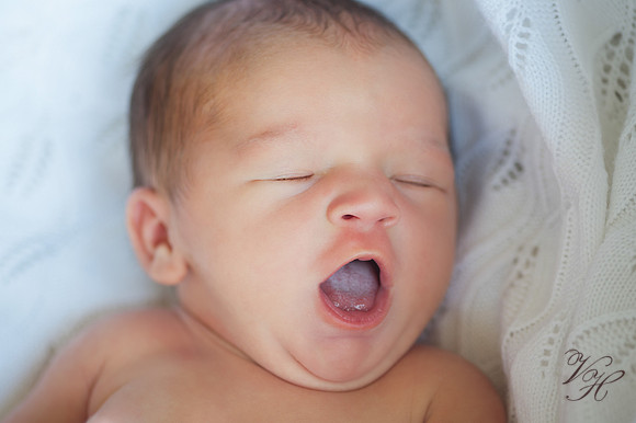 Jacksonville Family Photography-6