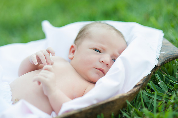Jacksonville Family Photography-55