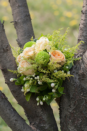 Wedding-33