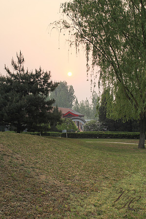 Wedding-2