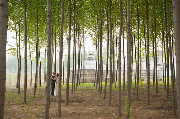 Wedding-109