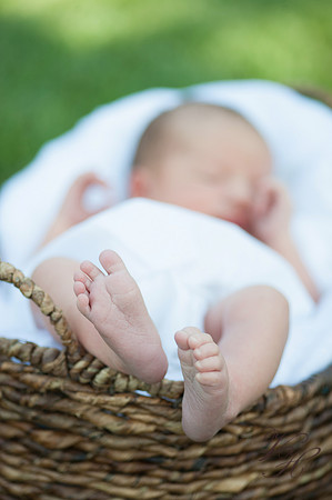 Jacksonville Family Photography-41