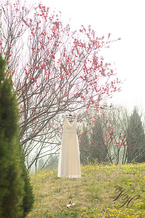 Wedding-25