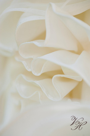 Jacksonville Wedding Photography-13