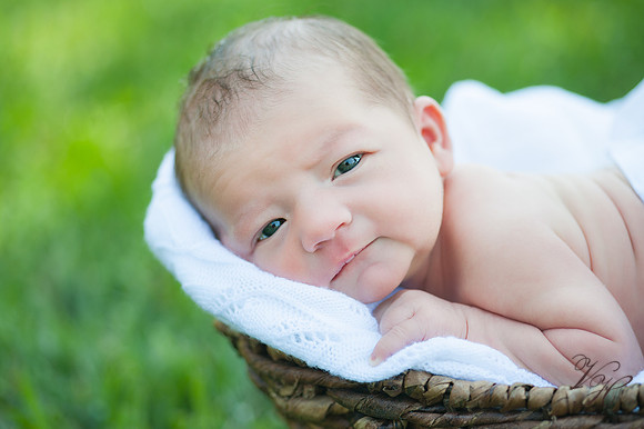 Jacksonville Family Photography-35