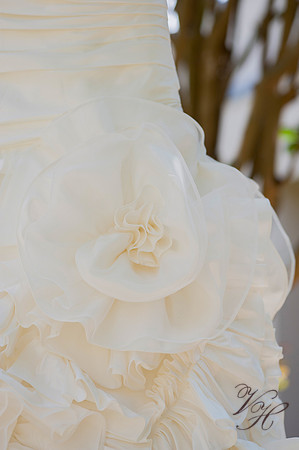 Jacksonville Wedding Photography-11
