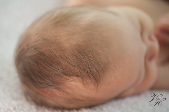 Jacksonville Newborn & Family Photos-39