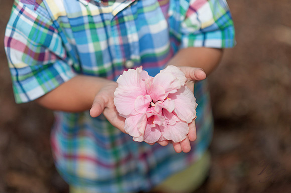 Jacksonville Family Photography-103