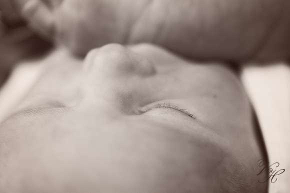 Jacksonville Family & Newborn Photos-63