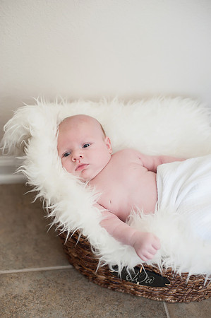 Carter-138