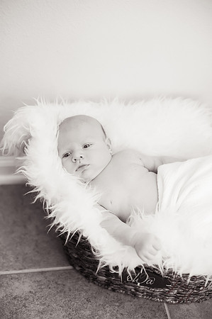 Carter.bw-138