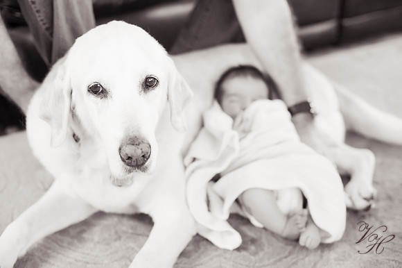 BW.black&white-133