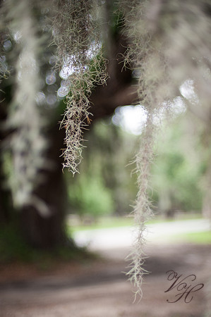 JacksonvilleWeddingPhotographer-112