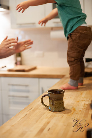 Dacus-47