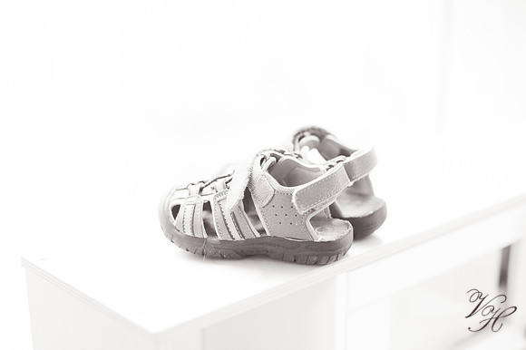 Dacus.bw-63
