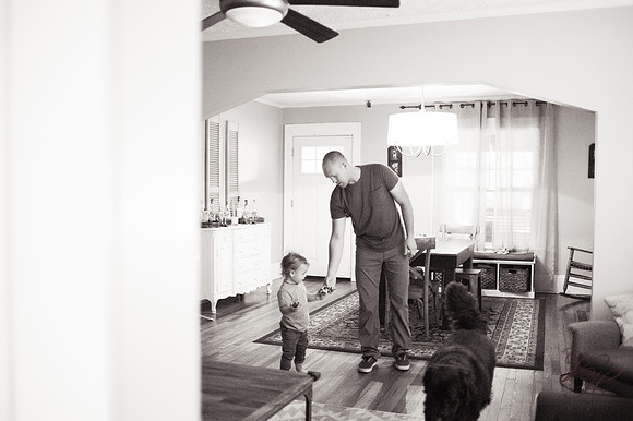 Dacus.bw-70