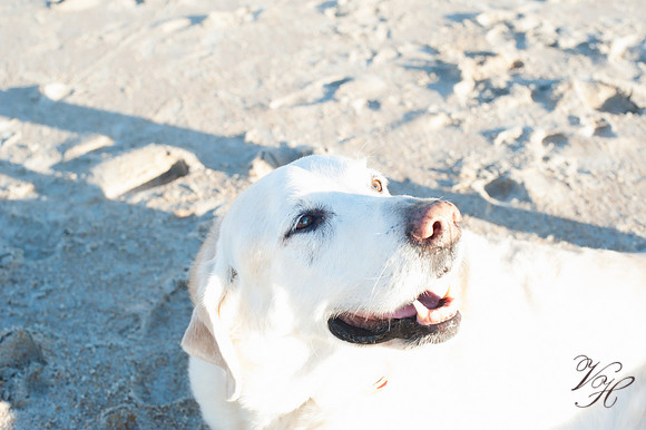 Winham-104