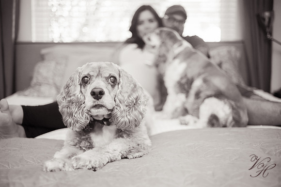Cameron.Maternity.bw-21