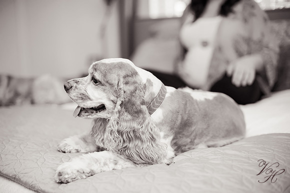 Cameron.Maternity.bw-42
