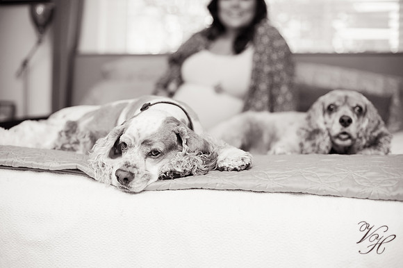 Cameron.Maternity.bw-93