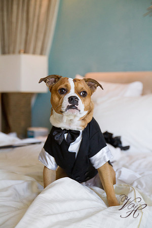 Jacksonville Wedding Photography-88