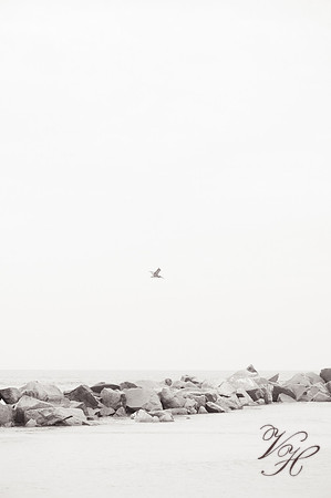 SCM.bw-98