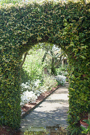 Jacksonville Wedding Photos-13