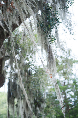 JacksonvilleWeddingPhotographer-49
