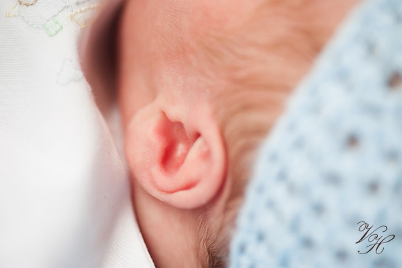 Jacksonville Family & Newborn Photos-66