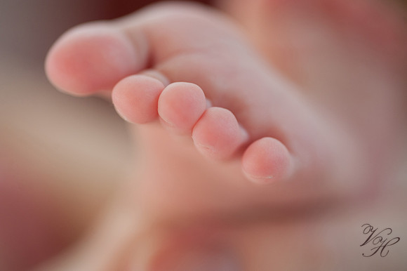 Jacksonville Newborn & Family Photos-34