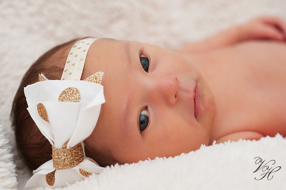Fleming Island Newborn Photos-33