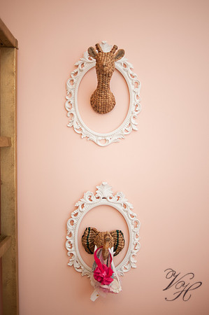 Fleming Island Newborn Photos-112