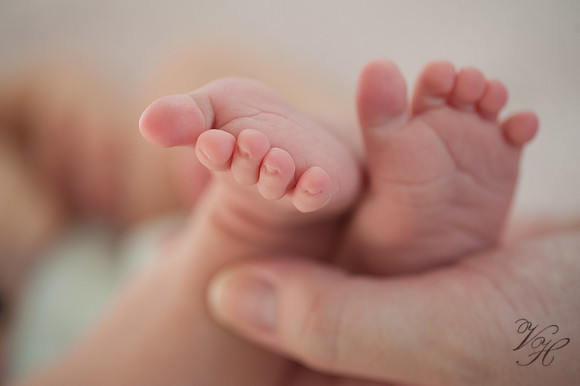 Jacksonville Newborn & Family Photos-33