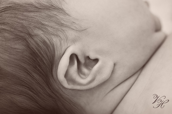 Fleming Island Newborn Photos-35