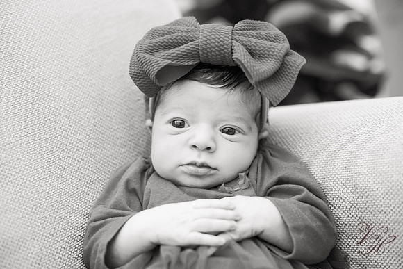 Penelope.bw-127