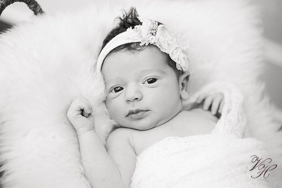 Penelope.bw-70