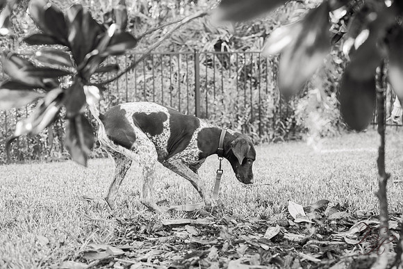 Penelope.bw-142