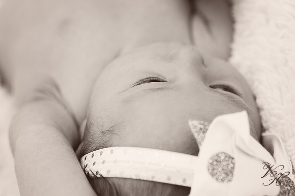 Fleming Island Newborn Photos-51