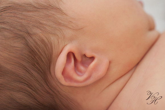 Fleming Island Newborn Photos-34