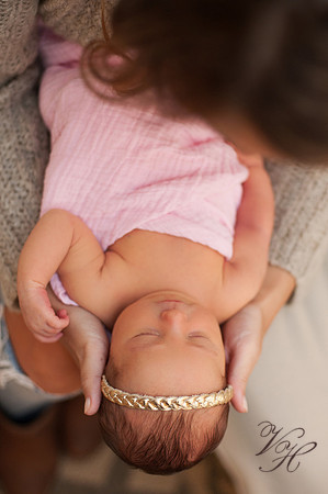 Fleming Island Newborn Photos-12