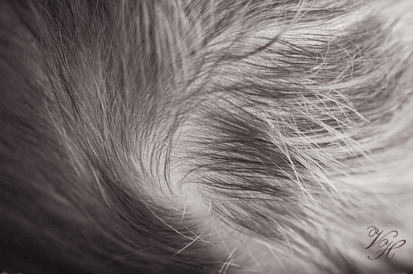 Barron.bw-19