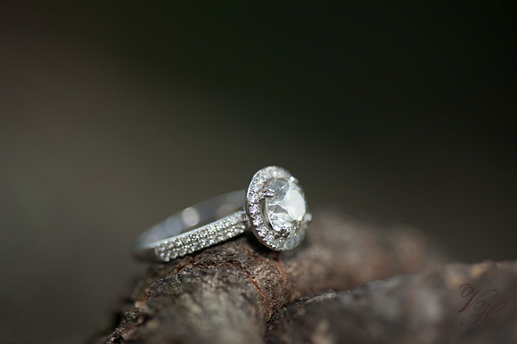 Jacksonville Engagement Photography-100
