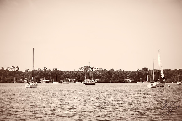 Tidster-38