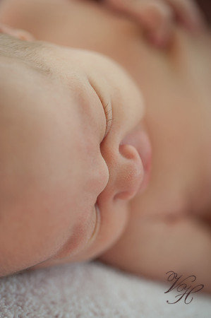 Jacksonville Newborn & Family Photos-40